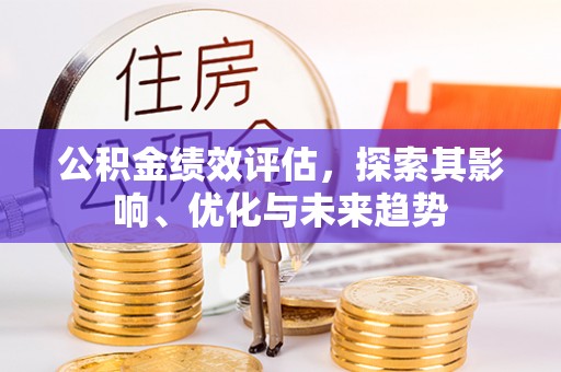 凤林公积金绩效评估，探索其影响、优化与未来趋势