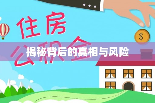 凤林揭秘背后的真相与风险