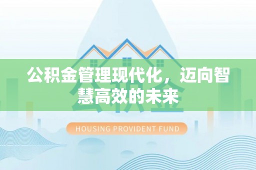 凤林公积金管理现代化，迈向智慧高效的未来