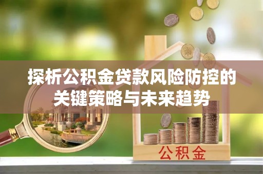 凤林探析公积金贷款风险防控的关键策略与未来趋势